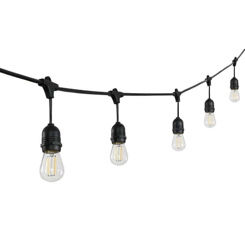 Beant Outdoor 15 - Bulb 48'' Plug-in String Light
