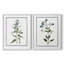 Impression encadrée Shabby Elegance Botanical I-Premium - prête à être accrochée - aucun clou requis - aucun clou requis-1992462129-1992462122
