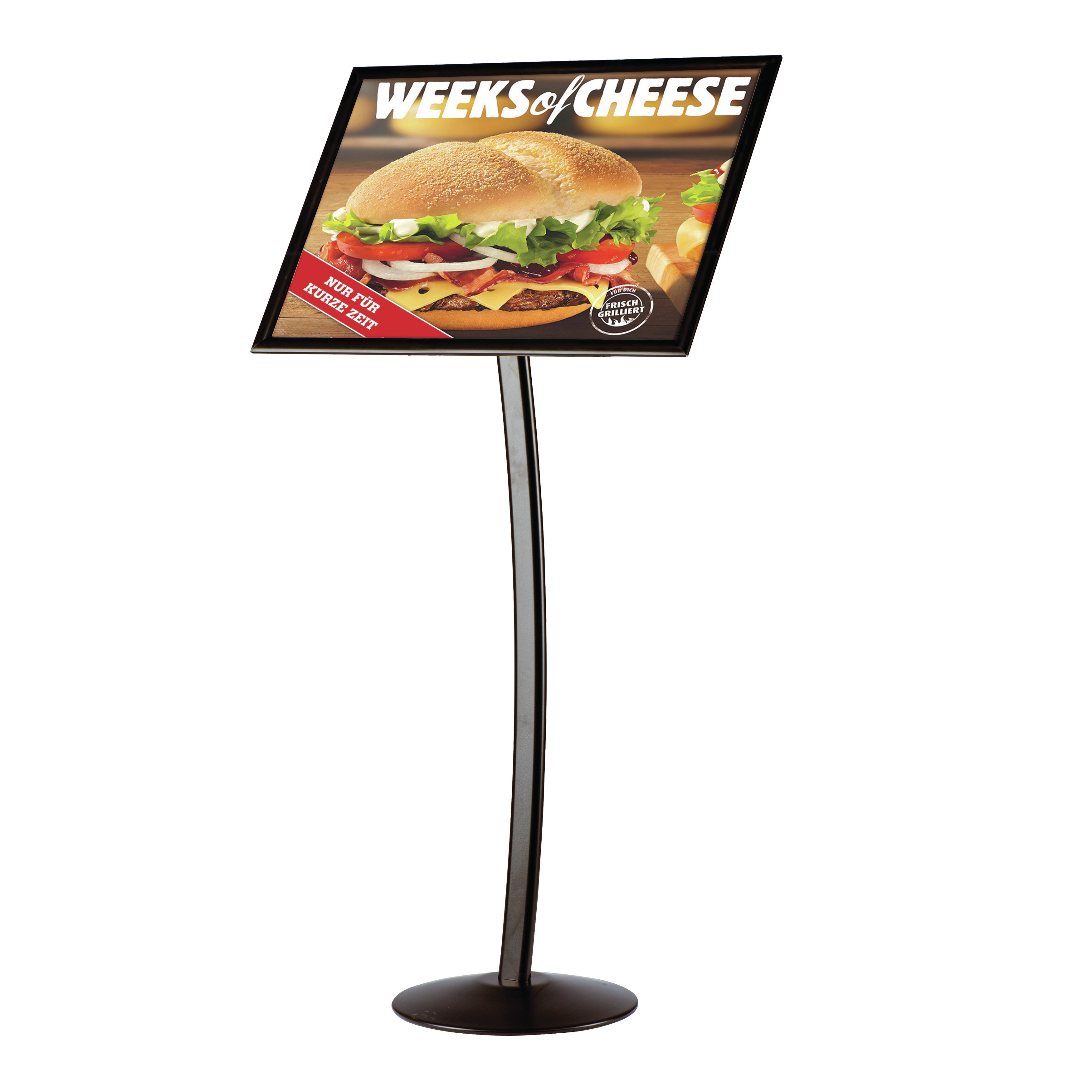 MT Displays Pedestal Curved Sign Holder | Wayfair