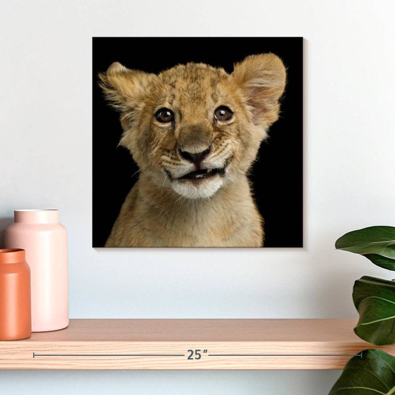 Tête de lion Brampt, H 16 po x l 16 po