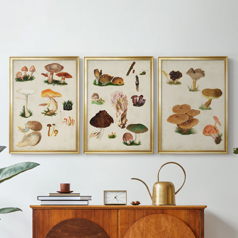 Mushroom Species IV - Toile tendue avec châssis sur mesure - 3 pièces, H 27 po x l 39 po, Doré