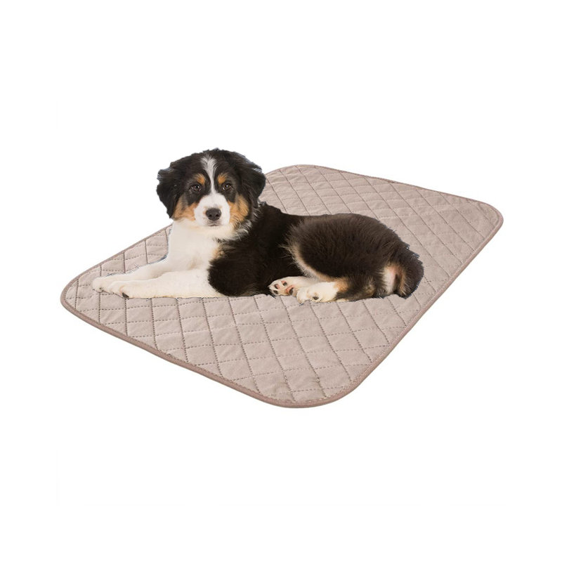 Protège-tapis réutilisables pour chien et chat