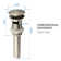 2.56'' W Drain Stopper Yes