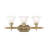 Christiansburg 3 - Light Dimmable Vanity Light-22508598