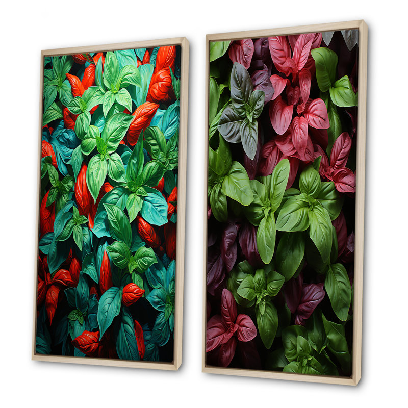 Herbes Basil Vibrance II - ensemble de 2 reproductions d'art sur toile Herbs, Cadre flottant brun, H 32 po x l 33 po