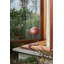 Pin Lamp-1426218558