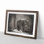 Mother and Baby Elephant Together - Picture Frame Painting Print-56860515-56860516