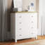 Audrey 4 Drawer Chest of Drawers-90564841