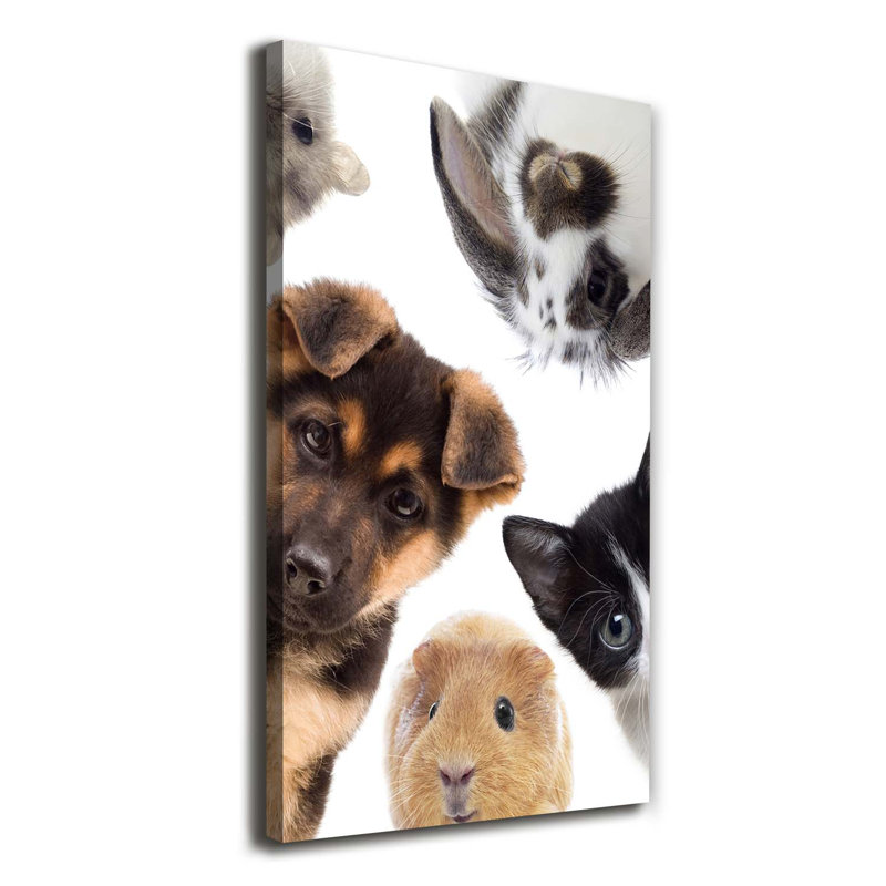 Pets - Wrapped Canvas Print