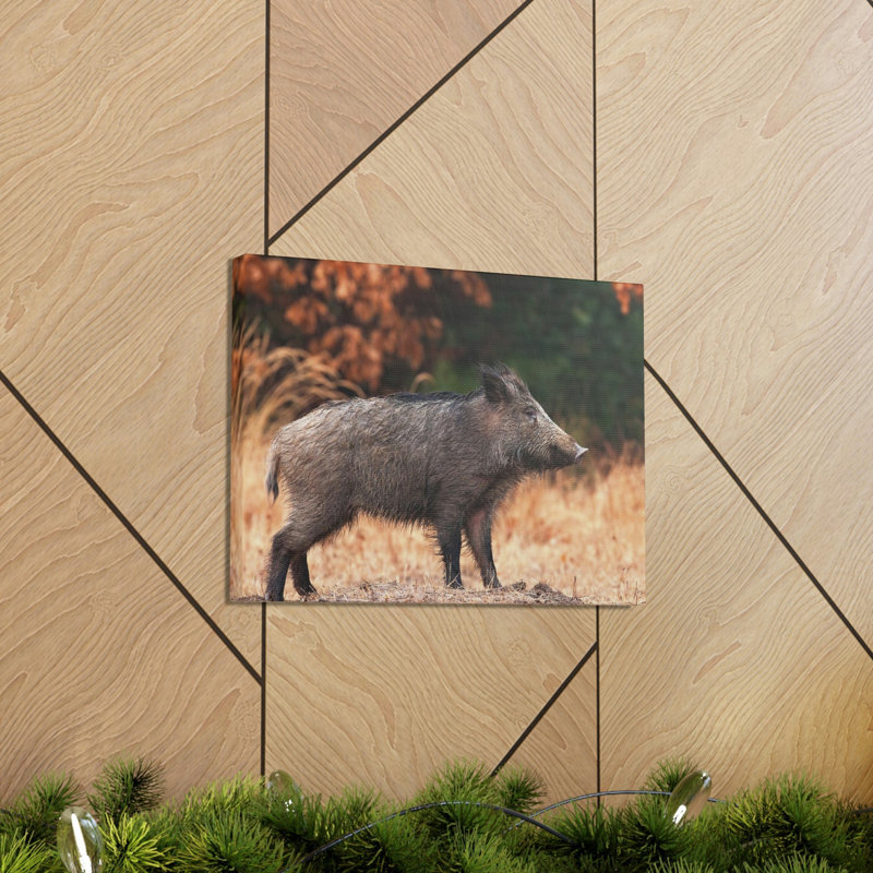 No Frame Print on Canvas, 27.94cm H x 35.56cm W