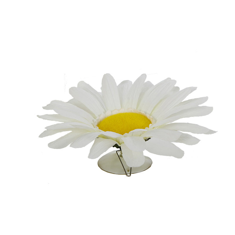 Pivoine avec ventouse, Crème