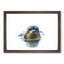 Grey Seal - Framed Print-55608898-55608899
