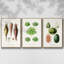 Ensemble de 3 pièces encadrées sur toile fruits et légumes VI-97795743-97795746