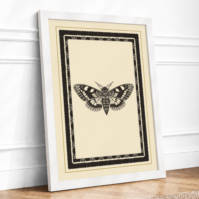 Specimen Study Japandi - Print, A4 - 29.7 x 21.0 cm, White