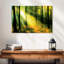 Kerrick Forest Sunshine Beauty-108974774