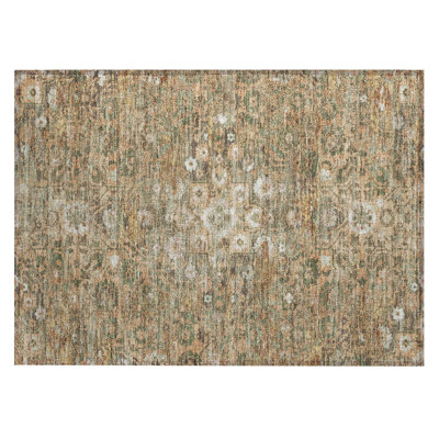 Tapis lavable à la machine intérieur / extérieur ACN2782 Global Chantille