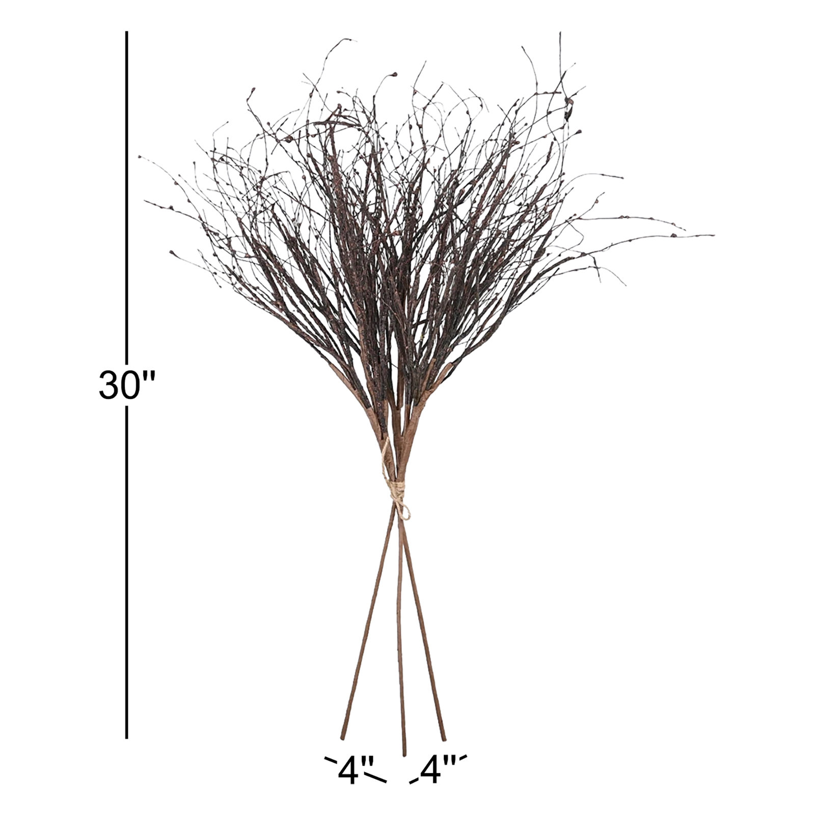 Birch Twig Stems