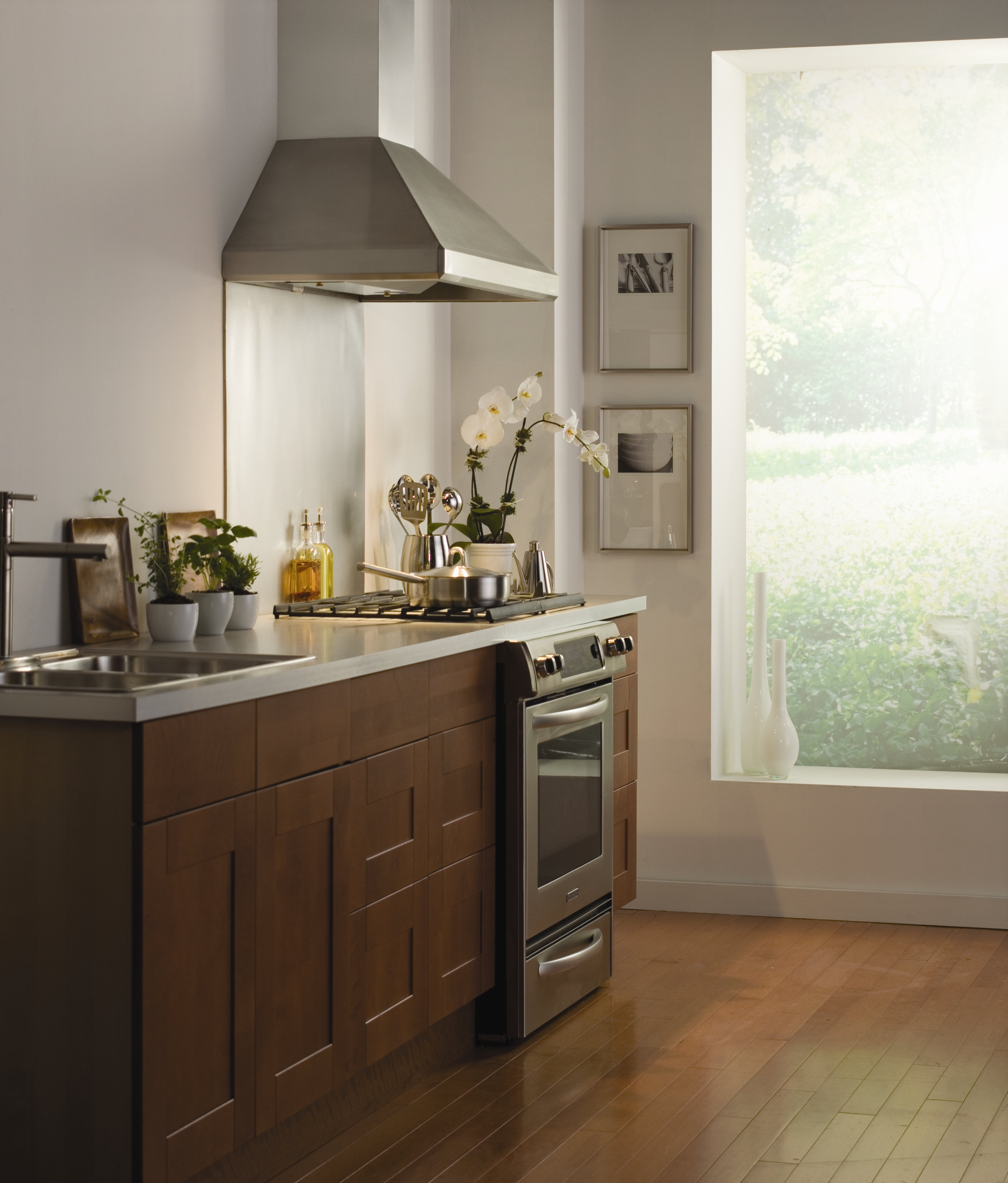Vent-A-Hood 30 Euroline Series 300 CFM Ducted Wall Mount Range Hood -  Wayfair Canada