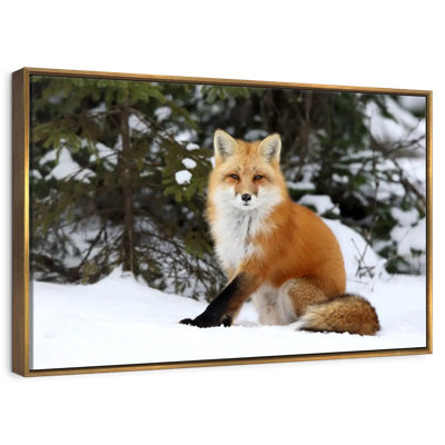 Winter Red Fox