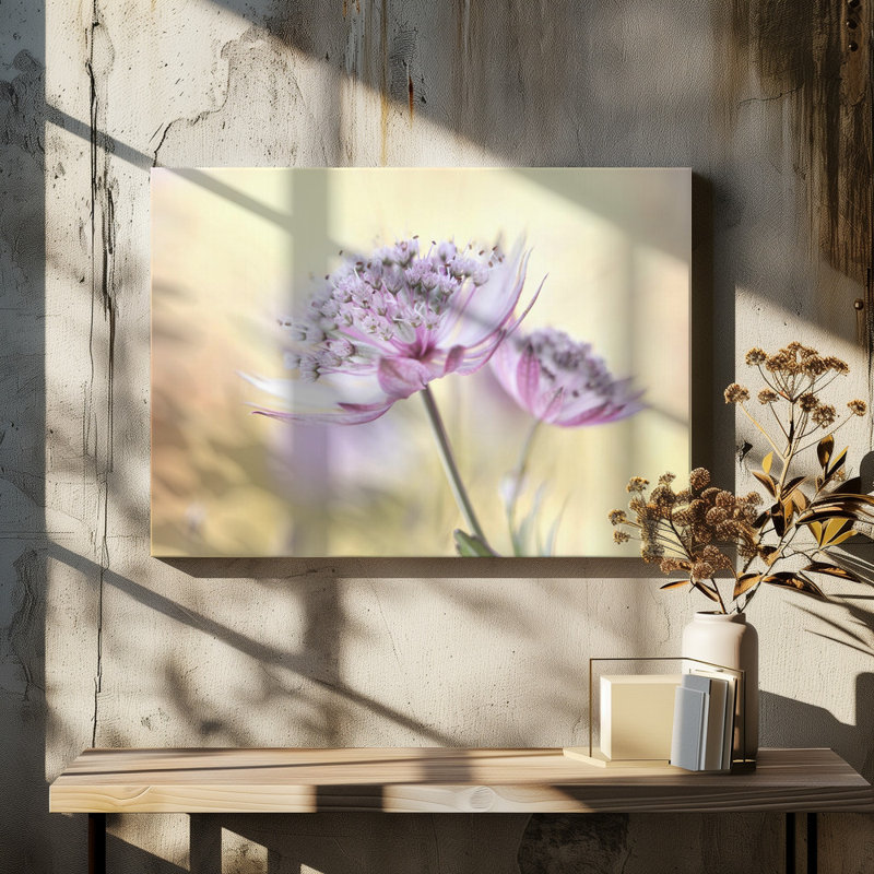 Wrapped Canvas Print, 50.8 cm H x 76.2 cm W