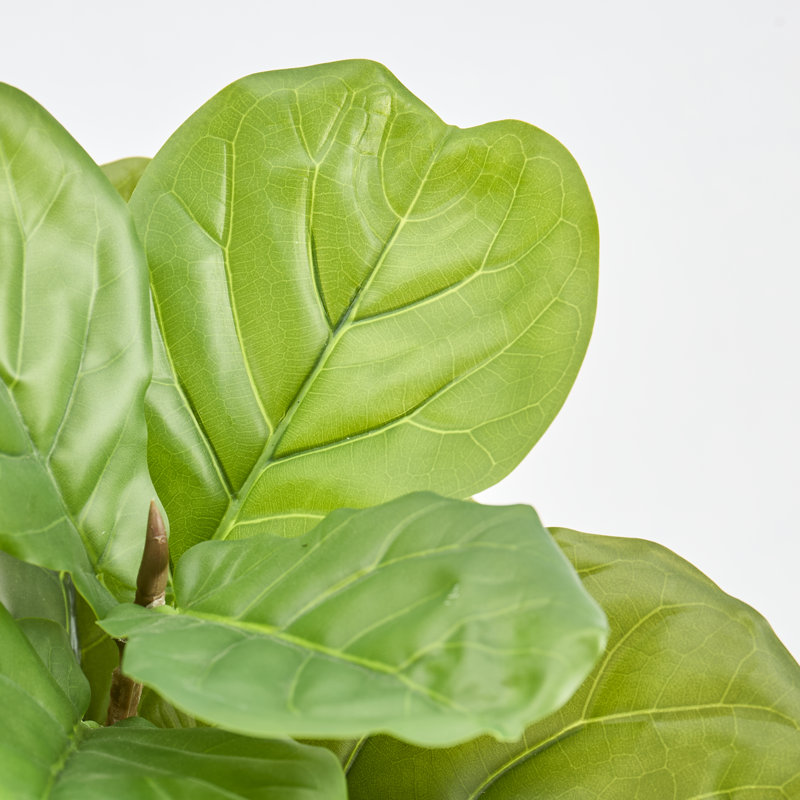 Artificial Fiddle Leaf Fig Tree 5Ft/7.2Ft, 35" x 22"