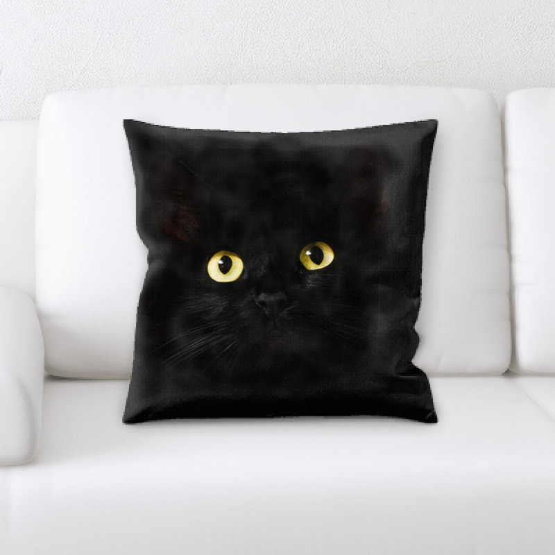 Coussin décoratif