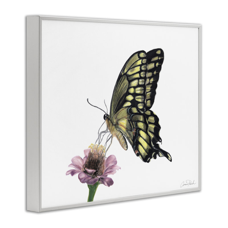 Art minimaliste de giclées sur papillons et fleurs par Connie Resch, H 11 po x l 14 po, Giclée encadrée blanc bord de mer
