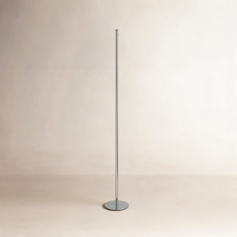 Juaquin 59.5'' LED Novelty Floor Lamp, Chrome