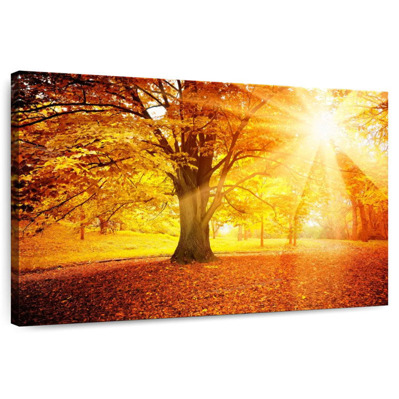 Alvord Bright Autumn, H 20 po x l 30 po