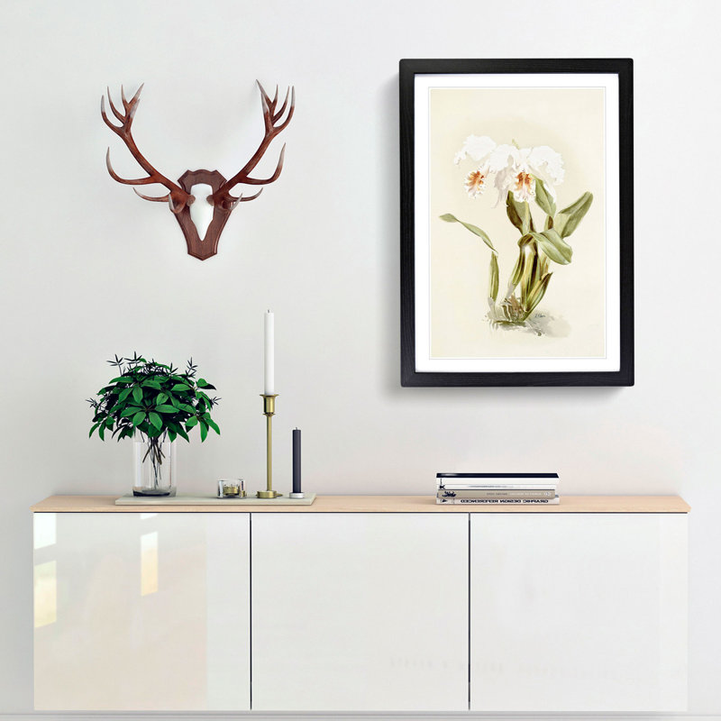 Magnolia Flowers Illustration Tab. 12 by Frederick Sander - Picture Frame Painting Print, Black, 76cm H x 50cm W x 2cm D