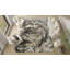 Tapis opale-99111369