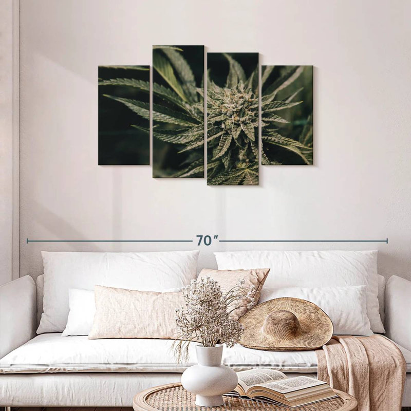 Plante de marijuana Senne, H 27 po x l 43 po