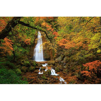 Falls of Autumn Leaves - Photographie sur toile tendue