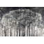 Carbon Forest Painting by Chelsea Art Studio-26775446-26775439