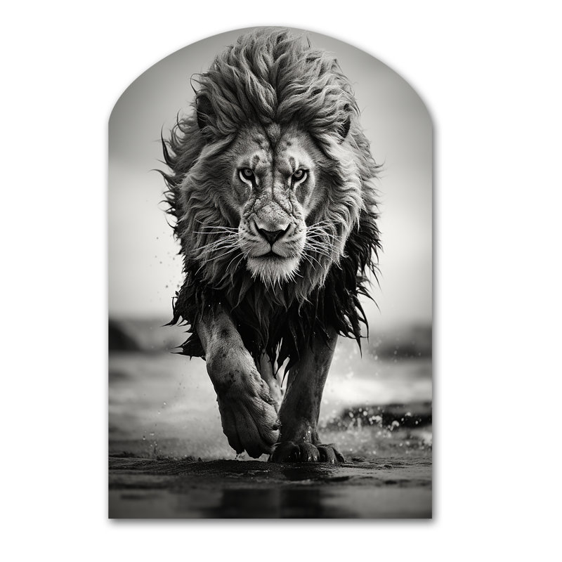Lion noir et blanc qui court en Afrique - Art mural lion asymétrique en métal, sculpture murale en arche
