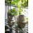 Rutz Handmade Ceramic Table Vase-1717599815