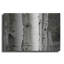 "Aspens III" par Debra Van Swearingen-1711050054