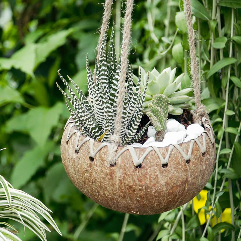 Wood Hanging Planter, 4