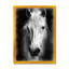 Farmhouse Horse I - reproduction d'art sur toile-51145445-51145450