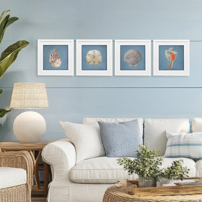 Soft Sea Shell Collection 4pc Framed Print Under Glass Set, design by Julia Purinton