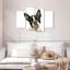 Brampt Little Boston Terrier-108837929