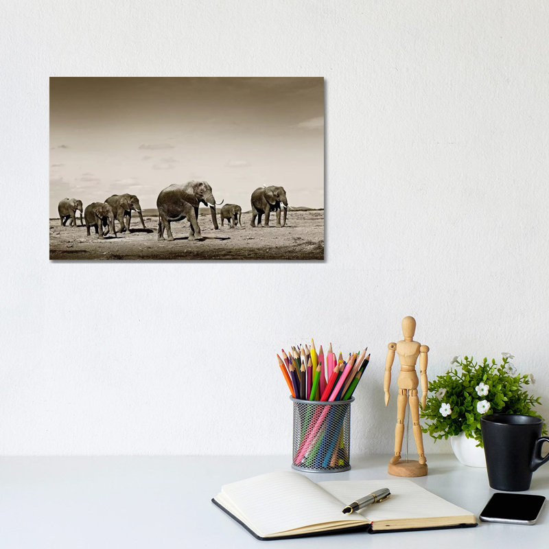 Wide Spread Elephants by Klaus Tiedge - Wrapped Canvas Print, 20.32 cm H x 30.48 cm W