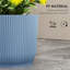 Pot Planter-523822746