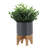 5" Planter W/ Wood Stand-1578032243