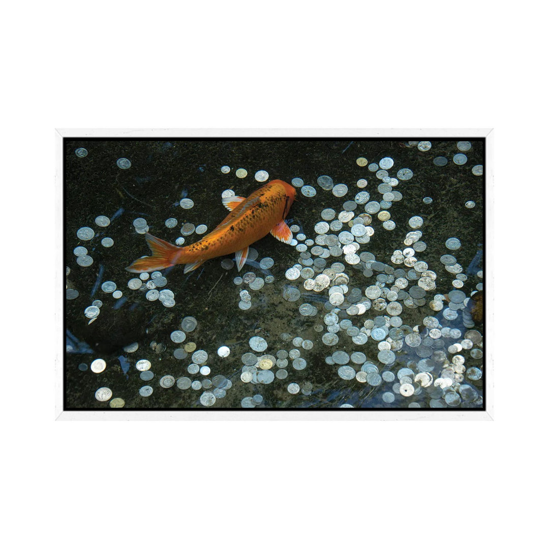 Koi With Coins In A Display At The Taronga Zoo von Joel Sartore - Gallery-Wrapped Canvas Giclée on Canvas