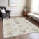  Machine Washable Indoor/Outdoor Chantille ACN1026 Rug