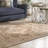 Villanova Performance Oriental Rug-426454854