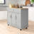 Kohn 47.64'' Kitchen Island with Locking Wheels-1736653168