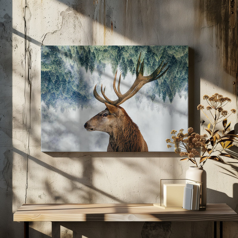Wrapped Canvas Print, 50.8 cm H x 76.2 cm W