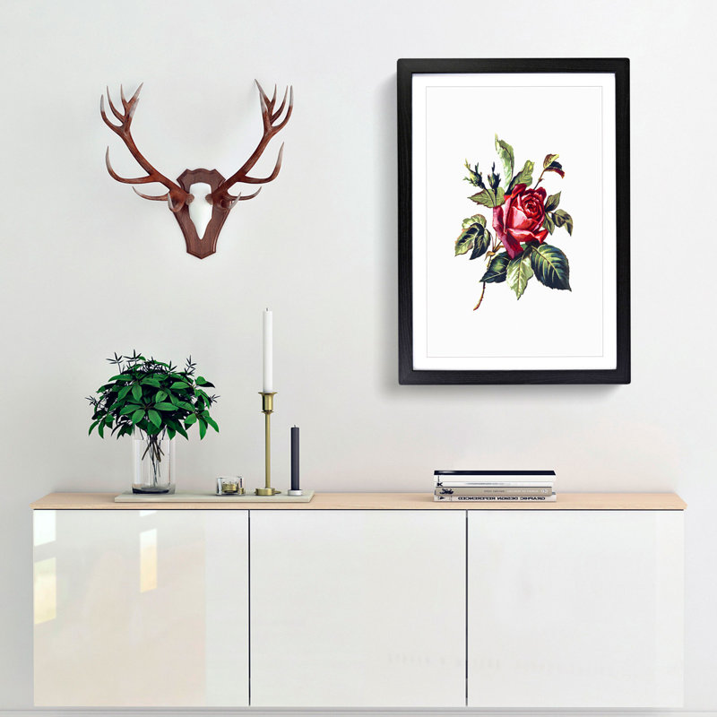 Red Rose Illustration - Framed Print, 48cm H x 36cm W x 2cm D, Black Framed
